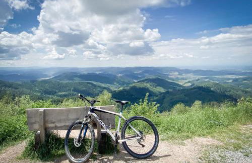 Ferienwohnung Vergissmeinnicht - Foto 9