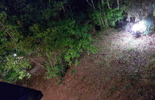 casa con bosco e vista mare - Foto 30