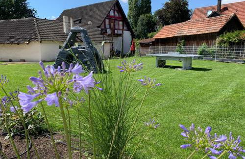 Haag Ferienwohnungen von "Small" bis "XL" für max 10 Personen und 6 Schlafzimmern - Foto 52