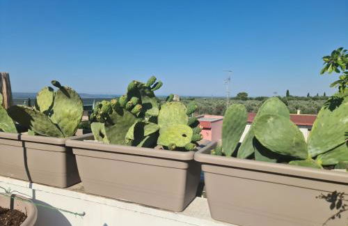 Ulivi di Minerva - Boutique Holiday Home - SUPER SUITE & SPA POLLON - Ostuni - Fasano - Cisternino - Foto 10