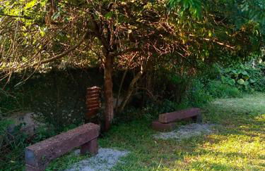 Chalé Sol de Primavera - Foto 13