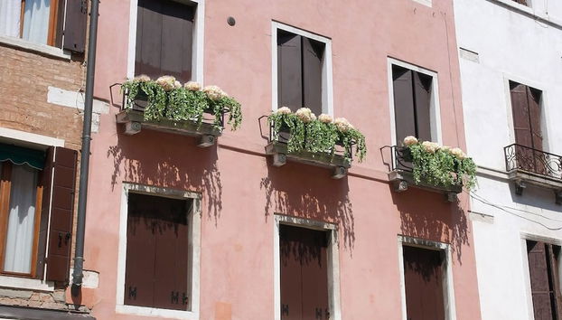 Casa delle Ortensie - Foto 2, Immagine principale