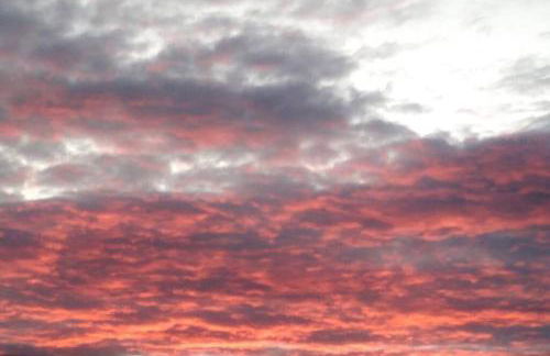 The Cottage - Hot Tub - nr Glasgow - self check-in - Foto 57