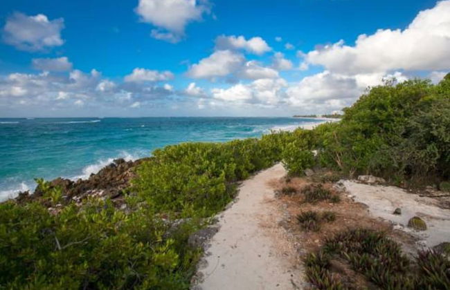 Fountain Anguilla - Photo 56