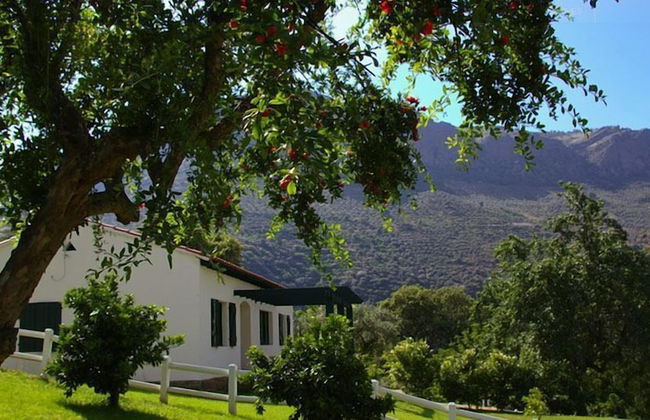 Casas Rurales Aldeaduero - Foto 44