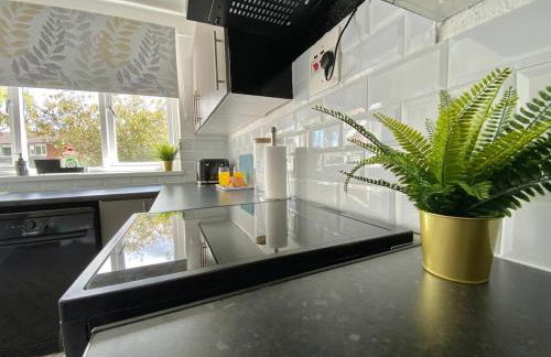 Spacious Town Centre Apartment - Foto 15