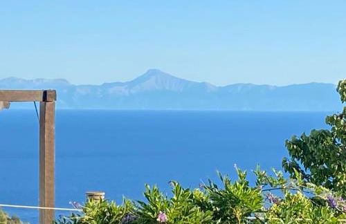 Two sisters - Foto 9