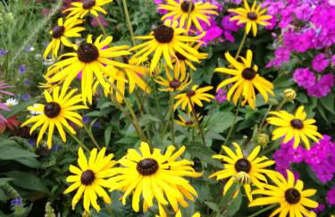 Haus Pfaff - Photo 15