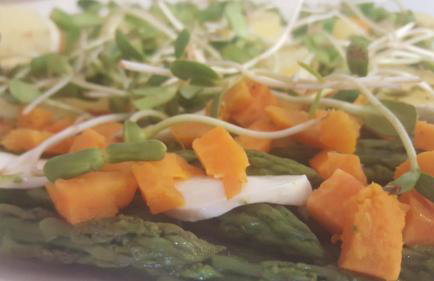 Domy Konesera - Foto 12