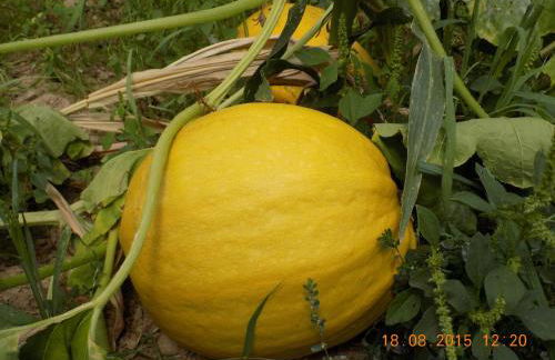 Casarao dos Reis - Foto 25