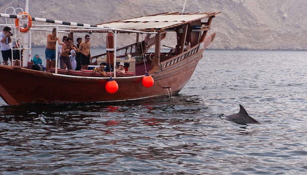 Delfines nadando junto al dhow