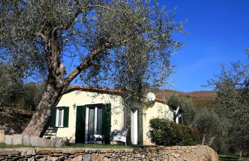 Casa vacanze gli ulivi - Foto 24