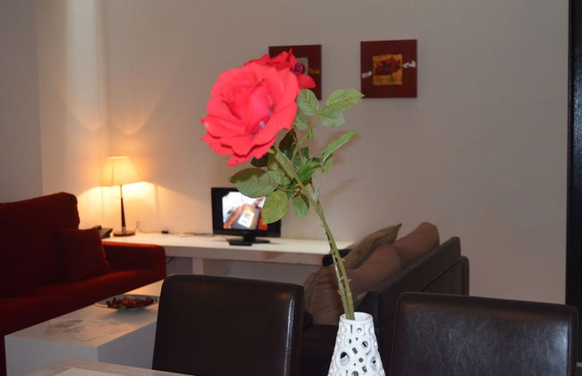 Apartamentos Coronado - Foto 48