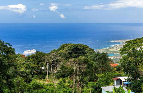 Orchid Hale - Foto 12