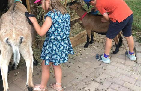 Gîtes du Tichweg - Foto 25