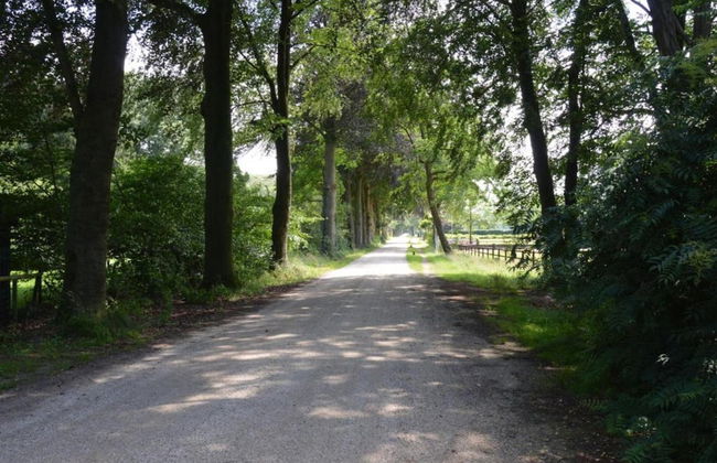 Apartment in Gelderland Near Nature Trails - Photo 35