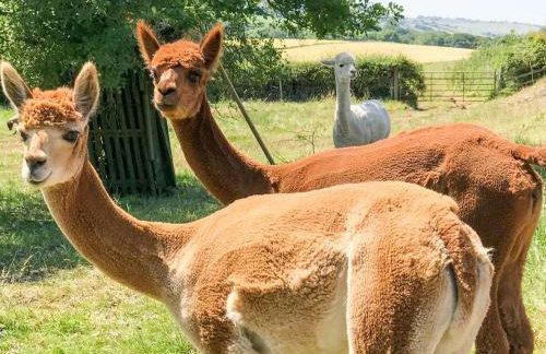 The Granary - Photo 41