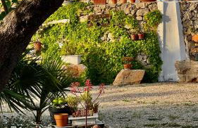 Trulli delle succulente - Foto 5