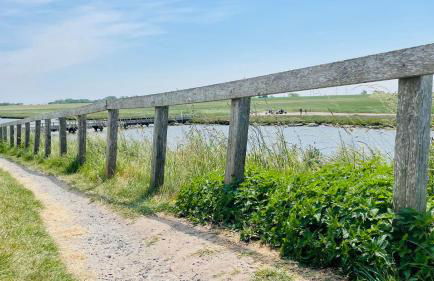 Kleine Burg Ovelgönne - Foto 43