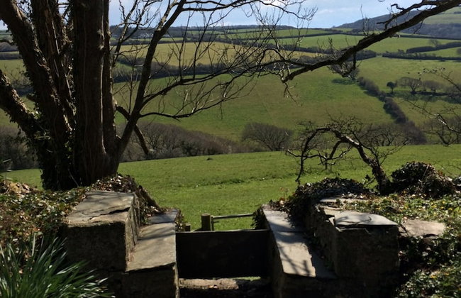 Anneth Lowen - Dog-friendly Cottage Boscastle - Foto 33