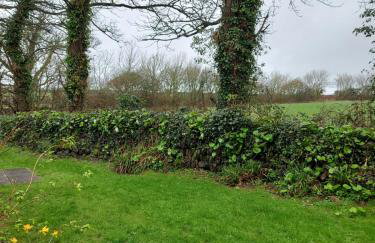 Sandy Toes Cottage - Foto 12