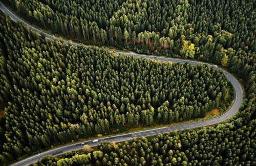 Ferienhaus am Flugplatz, umgeben von Natur - Foto 12