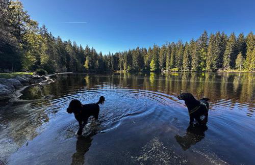 HAUS AM SEE - Natur Pur - Foto 5
