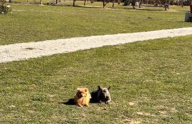 Le Mas Del Cargol - Foto 74