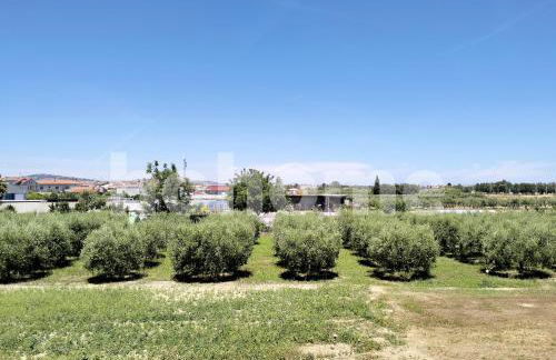 Appartamento per Vacanze "La Cura" codice RC8 - Foto 9