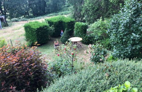 LE PETIT RENARD - Photo 5