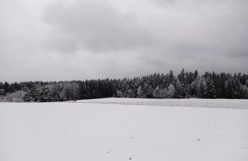 Ferienhaus Waldblick - Foto 49