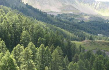 Appt Le Hameau Des Rennes 4 étoiles Pieds des pistes Piscine Intérieure Extérieure - Foto 38