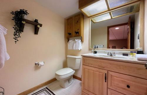 FC17 Stylishly renovated Forest Cottage walk to ski trails wifi cable ping pong AC - Foto 31