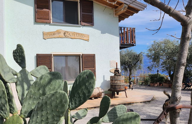 Agriturismo Scuderia Castello - Foto 53