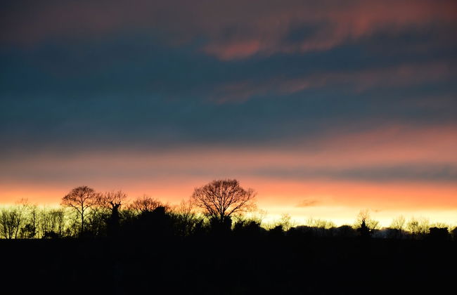 Fattoria Lucciano - Foto 60