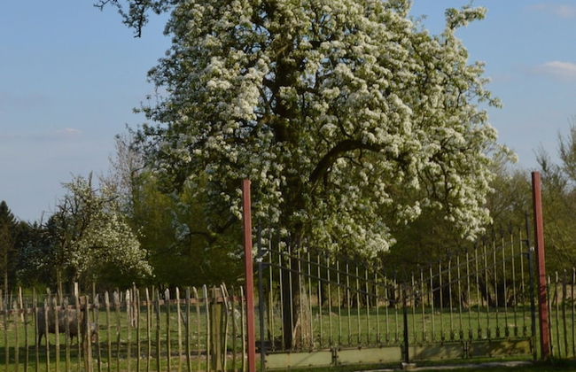 Comfortable Home With Sauna - Foto 44