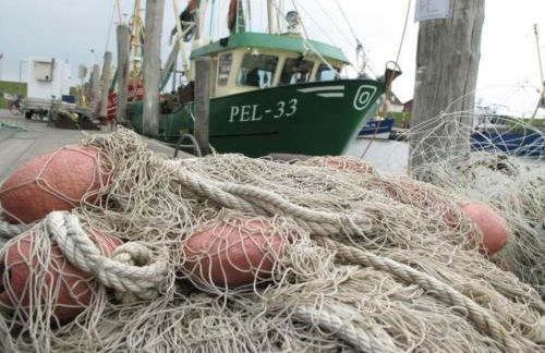 Apartment Pellworm by Interhome - Photo 26