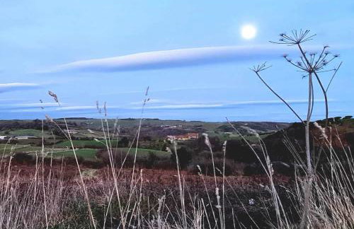 Ingleside Cottage by Together Travel - Charming Countryside Retreat - Photo 15