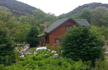 My Woodenfriend - Foto 23