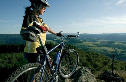 Villa in Zentrumsnähe, Medebach - Foto 2