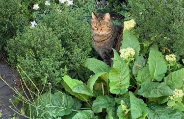 Gästehaus EinsA - Photo 21