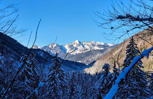 Nattersbergalm - Foto 60