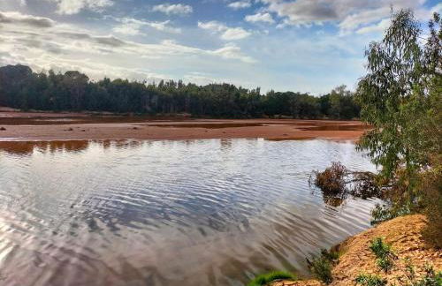 FINCA RIODIEL - Foto 66