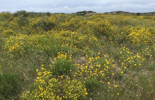 Holiday Home; Nazare Beach for Surfing - Photo 61