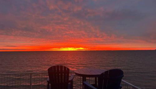 Blue Marlin - Foto 3