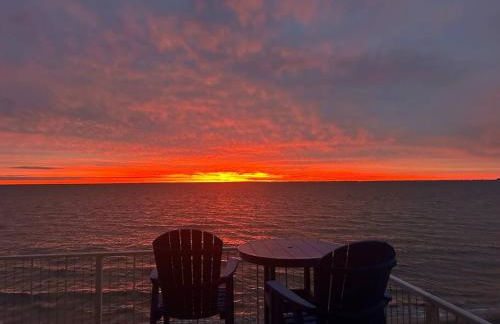 Blue Marlin - Foto 3