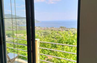 Apartman A&M - Photo 12