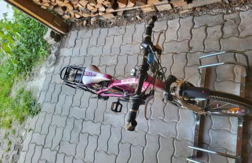 Schweizer´s Ferienwohnung - Foto 32