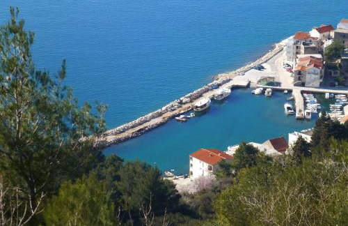 Apartments Adrion - Photo 12