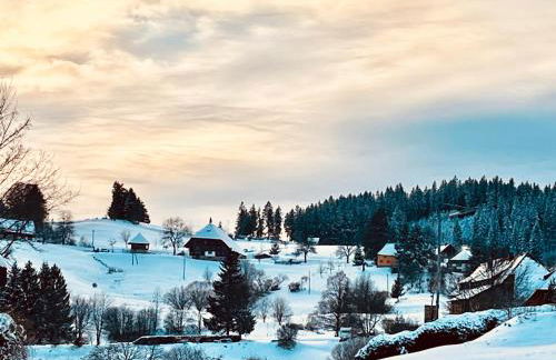 Ferienwohnung Haus Alpenblick - Foto 25
